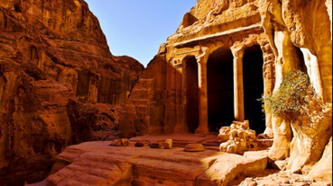 مجمع أبنية البركة والحدائق