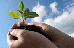 ~/Root_Storage/EN/EB_List_Page/Untitled-1_0001Biodiversity-Project.png
